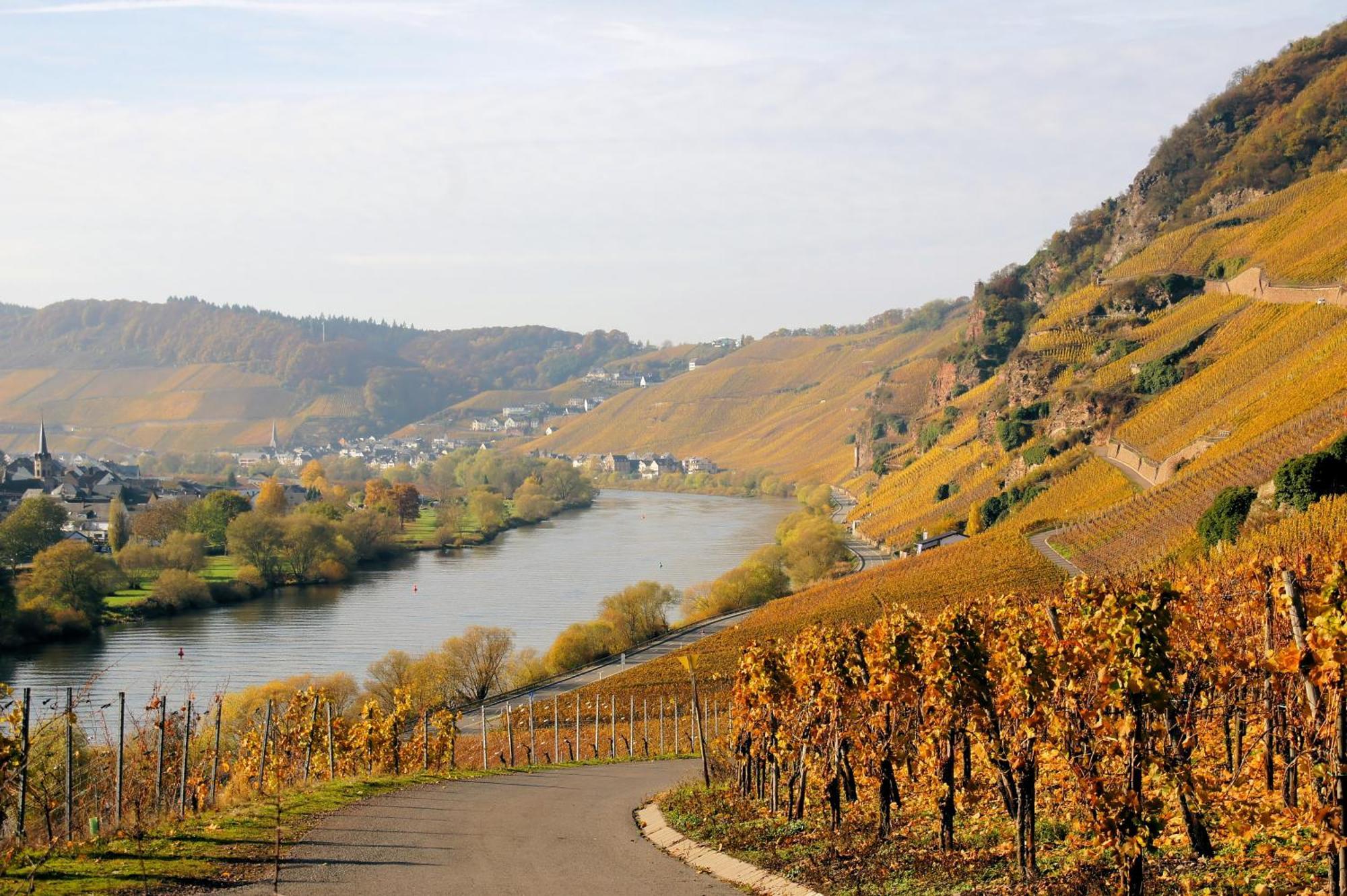 Weingut / Gaestehaus Gerlach Ürzig エクステリア 写真