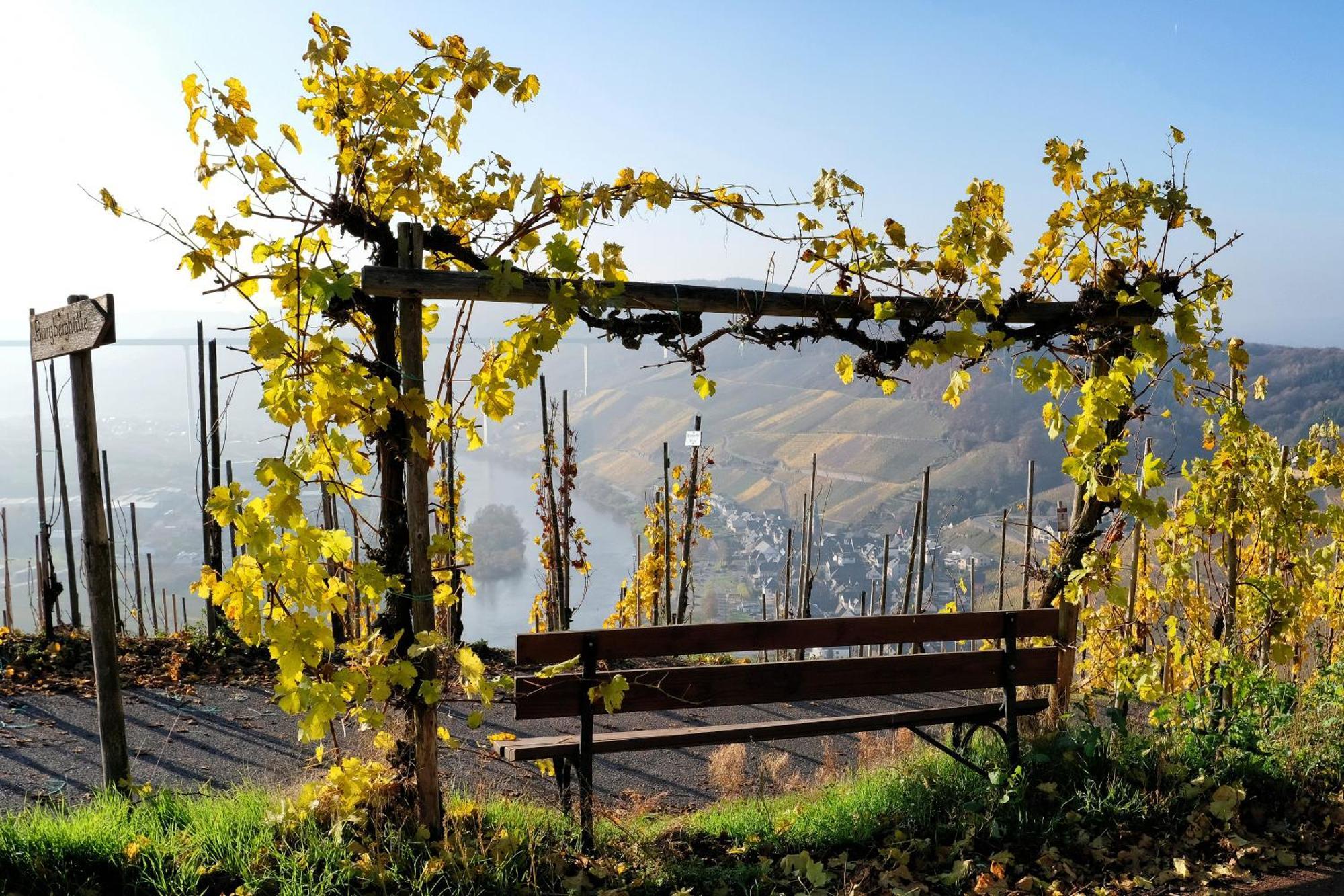 Weingut / Gaestehaus Gerlach Ürzig エクステリア 写真