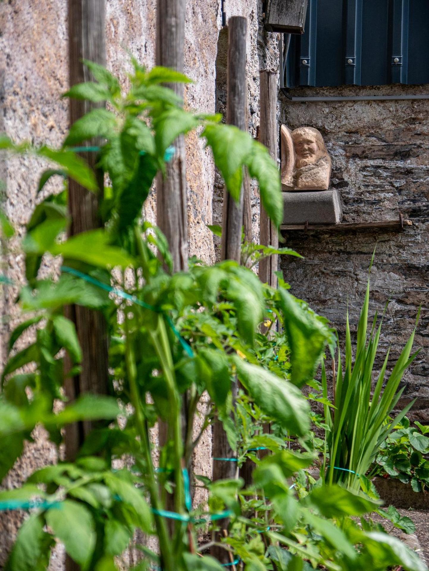 Weingut / Gaestehaus Gerlach Ürzig エクステリア 写真