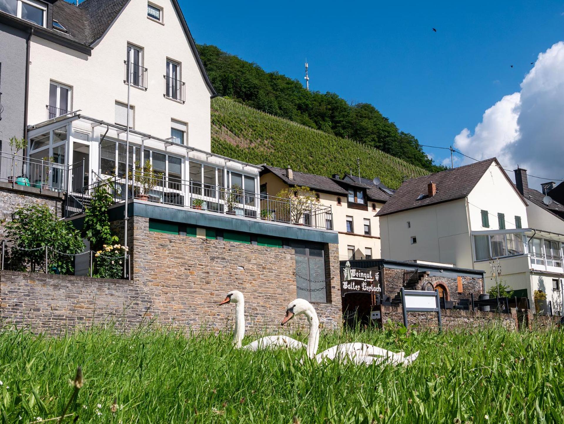 Weingut / Gaestehaus Gerlach Ürzig エクステリア 写真
