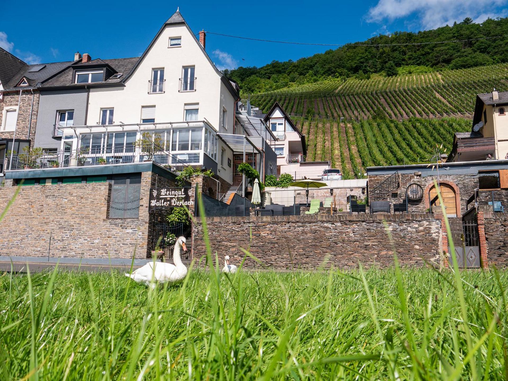 Weingut / Gaestehaus Gerlach Ürzig エクステリア 写真