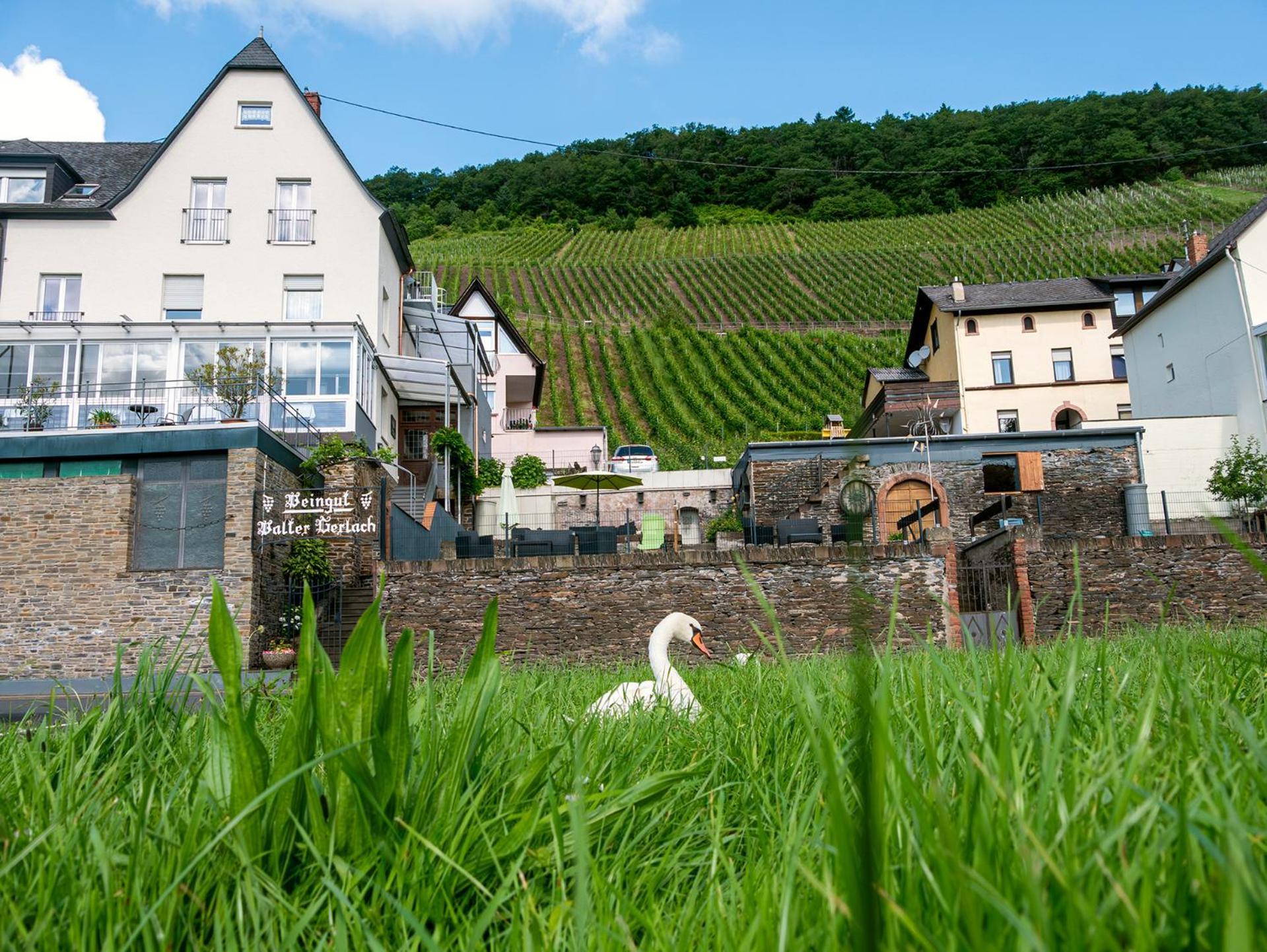 Weingut / Gaestehaus Gerlach Ürzig エクステリア 写真